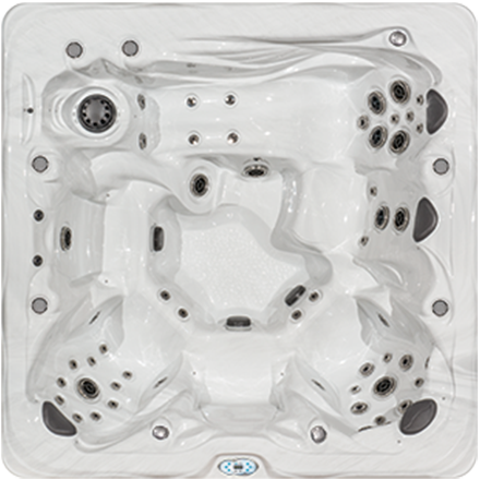 Healthy Living hot tub model HL 8